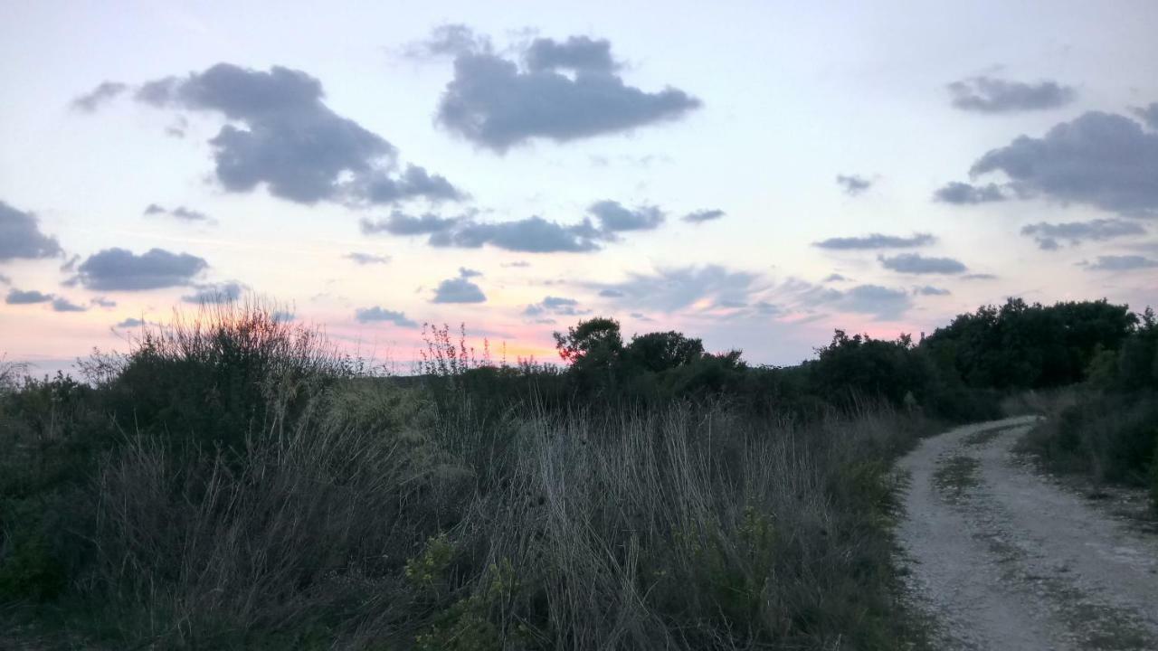 וינקורן Apartment Rnjak מראה חיצוני תמונה
